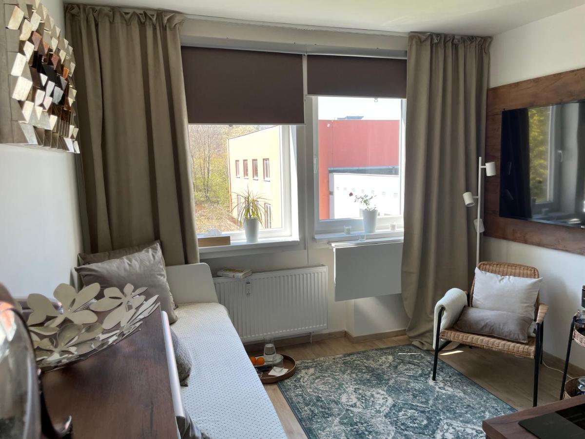 De Luxe Apartment, Wifi, Tv 65" Prag Exteriör bild