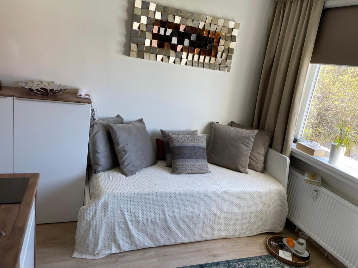 De Luxe Apartment, Wifi, Tv 65" Prag Exteriör bild